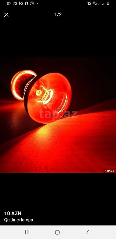 Сельскохозяйственное оборудование: Qizdirici infrared lampa Qızdırıcı keramik lampalar Inkubator və — 2