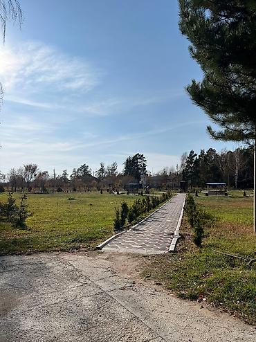 Иссык-Куль 2026: Квартира, Уютная квартира для семейного отдыха ЦО Кыргызское взморье, Бостери, Детская площадка, Парковка, стоянка, Охраняемая территория — 17