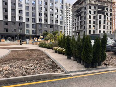 сдаются квартира кудайберген: 2 бөлмө, 84 кв. м, Элитка, 8 кабат, ПСО (өзү оңдоп түзөтүп бүтүү үчүн)