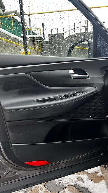 Hyundai: Hyundai Santa Fe: 2020 г., 2.2 л, Автомат, Дизель, Кроссовер — 20