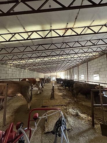 Продажа участков: 330 соток, Для сельского хозяйства, Договор дарения — 3