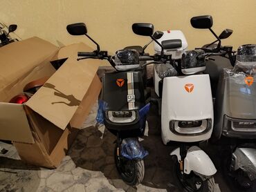 Мотоциклдер жана мопеддер: Скутер 500 куб. см, Электр, Жаңы, Бөлүп төлөө менен