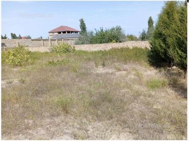 Torpaq sahələrinin satışı: 12 sot, Biznes üçün, Kupça (Çıxarış) — 2