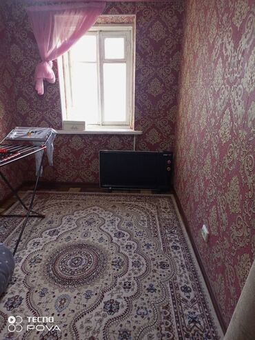 Ковры и паласы: Ковер Новый, 300 * — 8