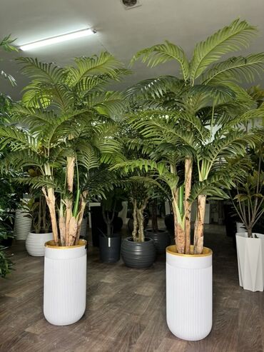 Декоративные цветы: Искусственные деревья — это идеальное решение для оформления интерьера at lalafo.kg — 15 Декоративные цветы: Искусственные деревья — это идеальное решение для оформления интерьера — 15