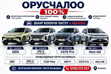 Профессиональная русификация мультимедийных систем и меню для