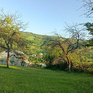 Torpaq sahələrinin satışı: Tikinti — 2