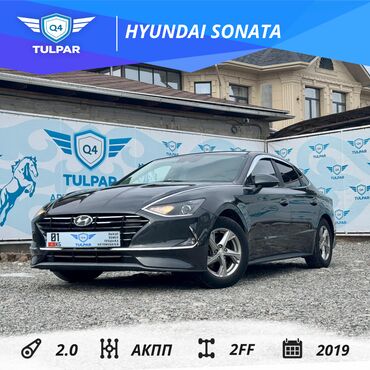 Kia: Hyundai Sonata: 2019 г., 2 л, Автомат, Газ, Седан