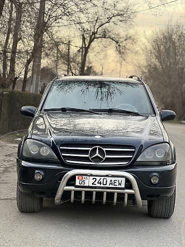 Mercedes-Benz: Mercedes-Benz M-Class: 2002 г., 4 л, Дизель — 1