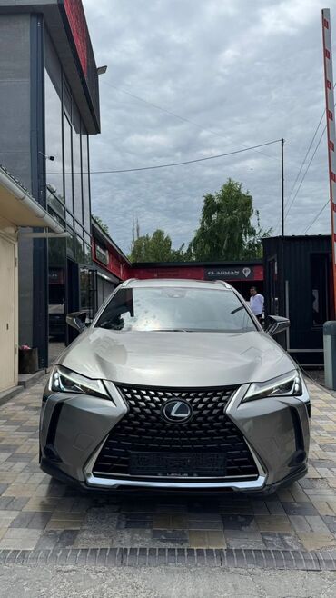 лексус 579: Lexus : 2020 г., 2 л, Бензин