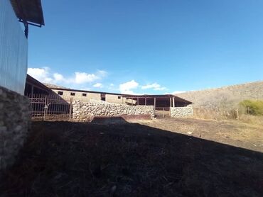 Продажа участков: 1800 соток, Для бизнеса, Красная книга at lalafo.kg — 5 Продажа участков: 1800 соток, Для бизнеса, Красная книга — 5