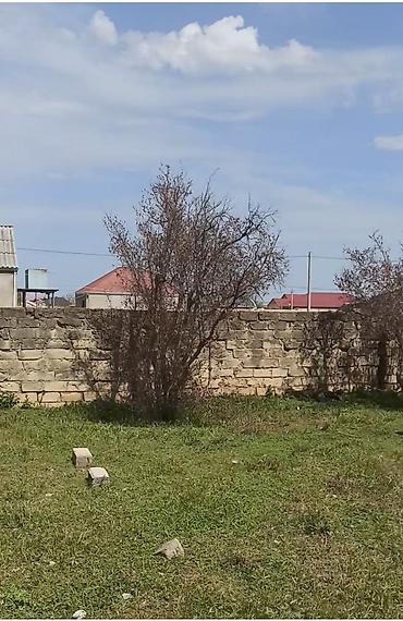 Torpaq sahələrinin satışı: 7 sot, Tikinti, Kupça (Çıxarış) — 7