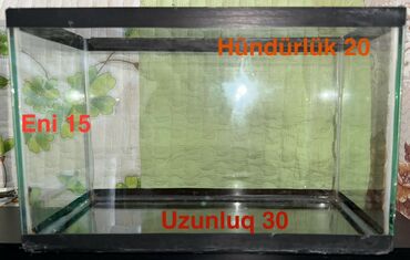 Akvariumlar: Dördbucaq akvarium, Boş, 70 l, Ödənişli çatdırılma — 17