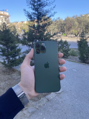 alpine a610 3 mt: IPhone 13 Pro Max, 256 GB, Alpine Green, Face ID