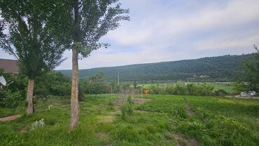 Torpaq sahələrinin satışı: 40 sot, Tikinti, Mülkiyyətçi, Kupça (Çıxarış) — 9