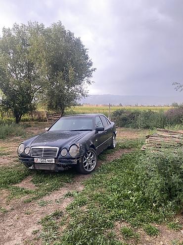 vw sharan: Mercedes-Benz E-Class: 1996 г., 2.9 л, Механика — 3