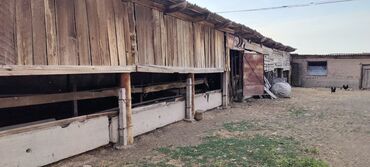 Сельхоз предприятия: Продается Кашара Фермерское- хозяйство с действующим бизнесом и с — 12