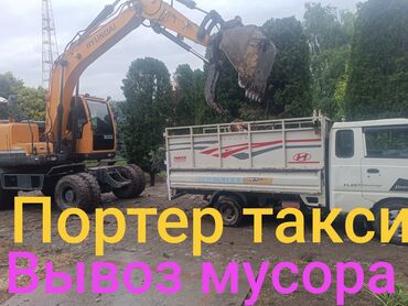Другие животные: Портер такси Вывоз мусора с грузчикам Портер такси Портер такси