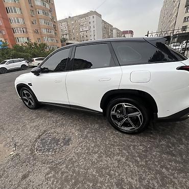 последовательный гибрид: Hozon Neta L: 2024 г., 1.5 л, Автомат, Гибрид, Кроссовер — 6