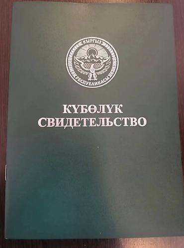 сельскохозяйственное: 5000 соток, Для сельского хозяйства, Договор купли-продажи — 4