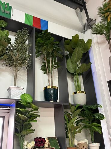 Güzgülər: Güzgü Divar üçün — 13