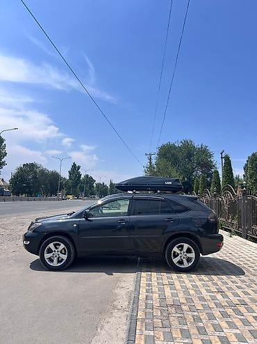 Lexus: Lexus RX: 2004 г., 3 л, Автомат, Бензин, Внедорожник — 6