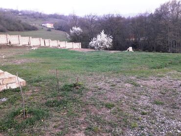 Bağ evlərinin satışı: Qusar, 64 kv. m, 2 otaqlı, Hovuzsuz, Artezian quyusu, Qaz, Kanalizasiya — 4