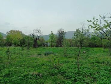 Torpaq sahələrinin satışı: 20 sot, Biznes üçün, Mülkiyyətçi, Kupça (Çıxarış) — 5