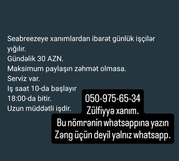 53 yaş üçün is elanları: Уборщица требуется, Любой возраст, Без опыта, Вахтовый метод, Ежедневно оплата