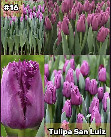 Организация мероприятий: Организация мероприятий | Букеты, флористика — 17