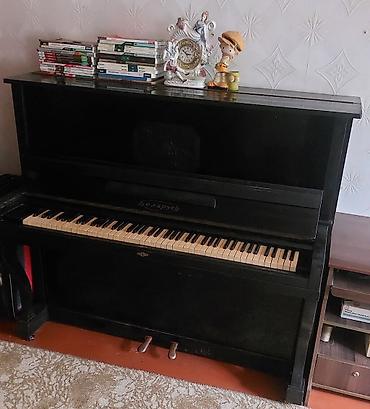 array informatika pdf 2026: - Məhsul: Akustik pianino, “Belarus” markası, upright (şaquli) model - — 2