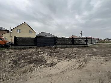 ысык куле: 433 соток, Бизнес үчүн, Кызыл китеп — 3