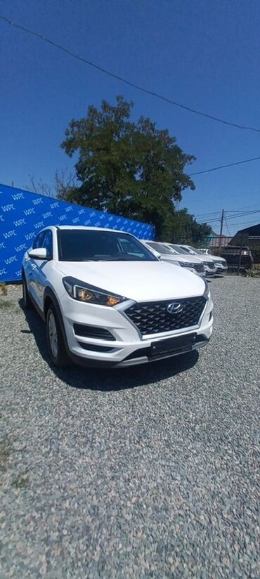 авто форт: Hyundai Tucson: 2019 г., 2 л, Автомат, Дизель, Кроссовер