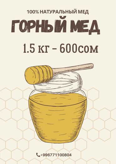 килограмм меда цена: Продаю мед 100 процентов натуральный горный мед 1 литр(1.5кг) 600