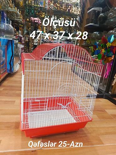 Böyük Quş qəfəsini 25-azn Ünvan Q Qarayev metrosunun düz çıxışında