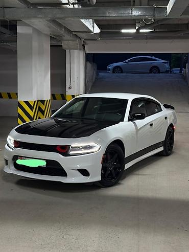 обмен шин: Dodge Challenger: 2019 г., 3.6 л, Автомат, Бензин, Седан — 5