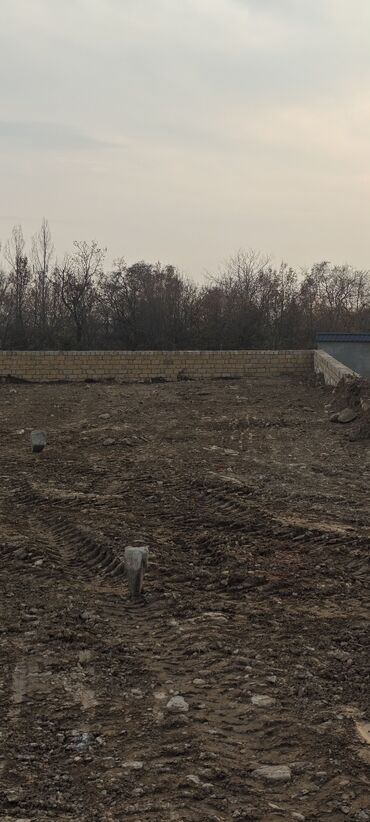 Torpaq sahələrinin satışı: 11 sot, Tikinti, Mülkiyyətçi, Kupça (Çıxarış) — 11