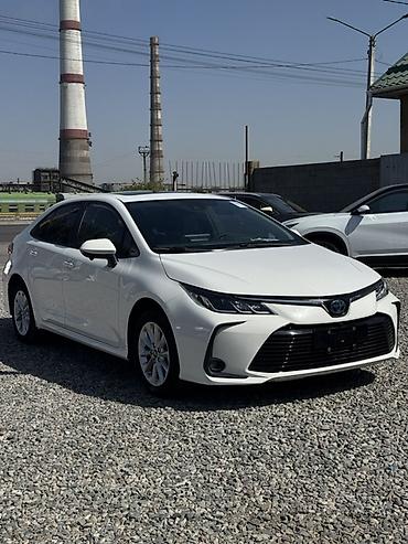 spark 2018: Toyota Corolla: 2019 г., 1.8 л, Вариатор, Гибрид, Седан — 3