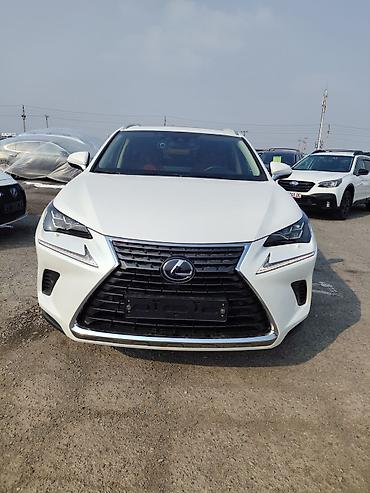 Lexus: Lexus NX: 2019 г., Гибрид, Кроссовер — 1