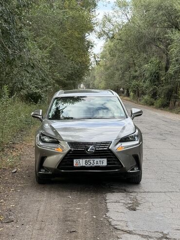 купить маленькую машину недорого: Lexus NX: 2019 г., Кроссовер