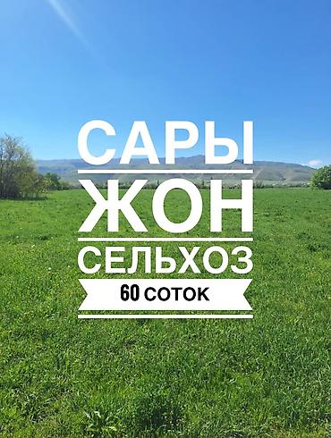 60 соток, Для сельского хозяйства, Красная книга, Договор купли-продажи