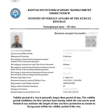 visa: Визы в Кыргызстан, США, Японию и Шенген. Помогаю с оформлением виз в — 8