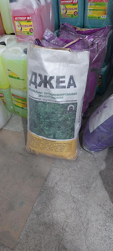 Другие зерновые культуры: ОПТОМ ОПТОМ Беде Урук Беде урук беде урук Беде Урук Джеа Багира at lalafo.kg — 5 Другие зерновые культуры: ОПТОМ ОПТОМ Беде Урук Беде урук беде урук Беде Урук Джеа Багира — 5