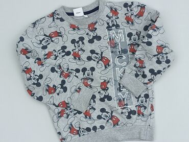 sweterek z kotkiem: Sweater, Disney, 4-5 years, 104-110 cm, condition - Good