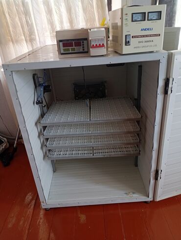 İnkubatorlar: Böyük həcmli avtomatik inkubator komplekti.tam işlək vəziyyətdədir.504 — 3