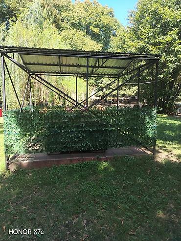maral buynuzu bitkisi: Metal karkaslı açıq hava kölgəlik/pavilon - Ölçü: təxminən 4×6 m — 2