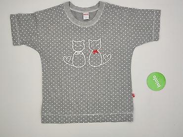 kotki: T-shirt damski, rozmiar L — 2