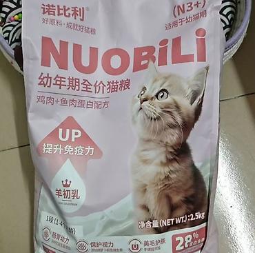 royal canin: Сухой корм для котят 1-12месяцев 1,5кг Взяла чтобы завести котика, но — 2