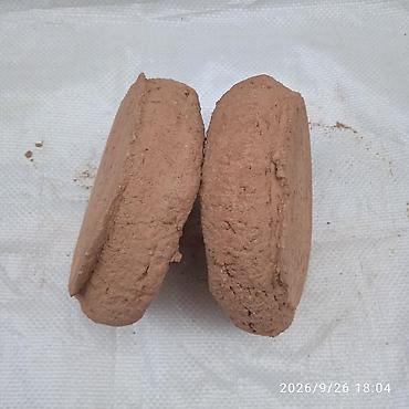 голубьи: Минеральная подкормка для голубей — 2