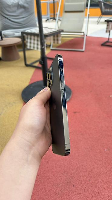 Apple iPhone: IPhone 13 Pro, Б/у, 128 ГБ, Графит, Защитное стекло, Чехол, 77 % — 3